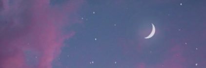 _nickiebeee's profile banner image