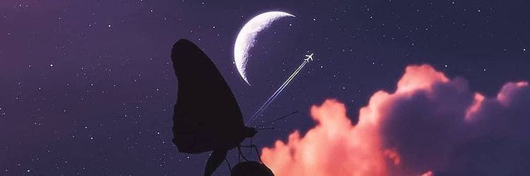 iCE banner