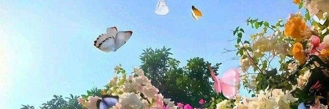 Ladybug 🐞's banner