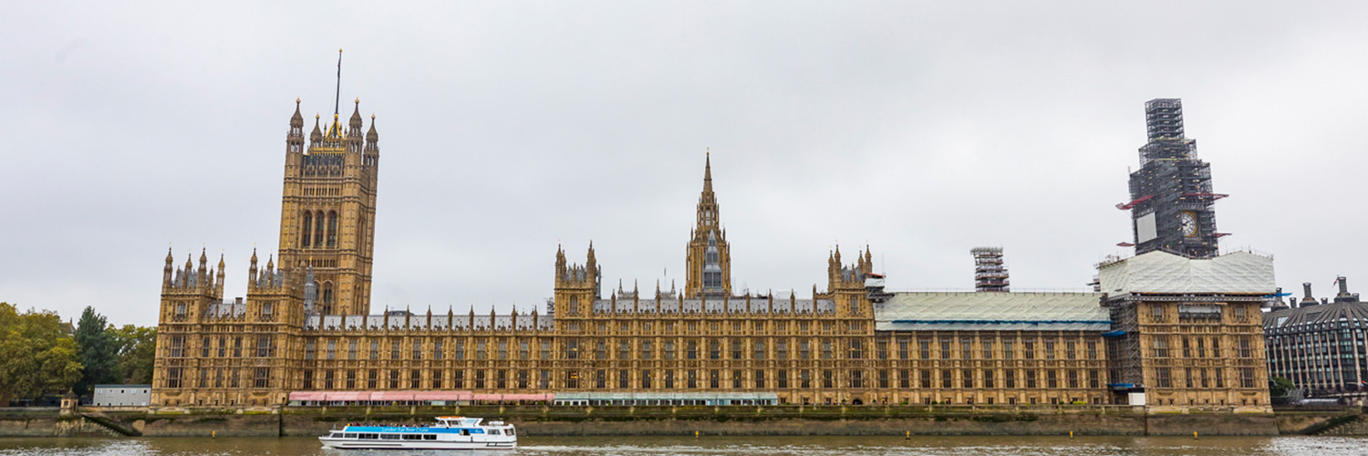 Lords COVID-19 Committee: Life beyond COVID banner