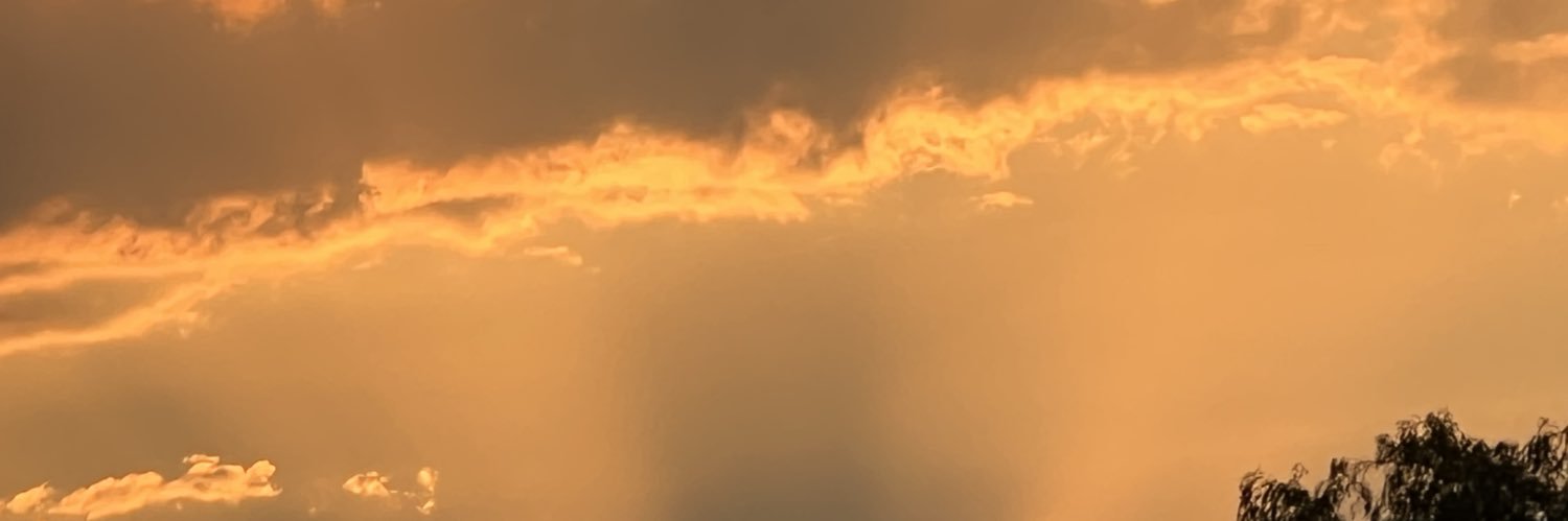 Darylu⋆ banner