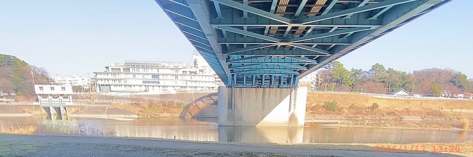 楓 banner