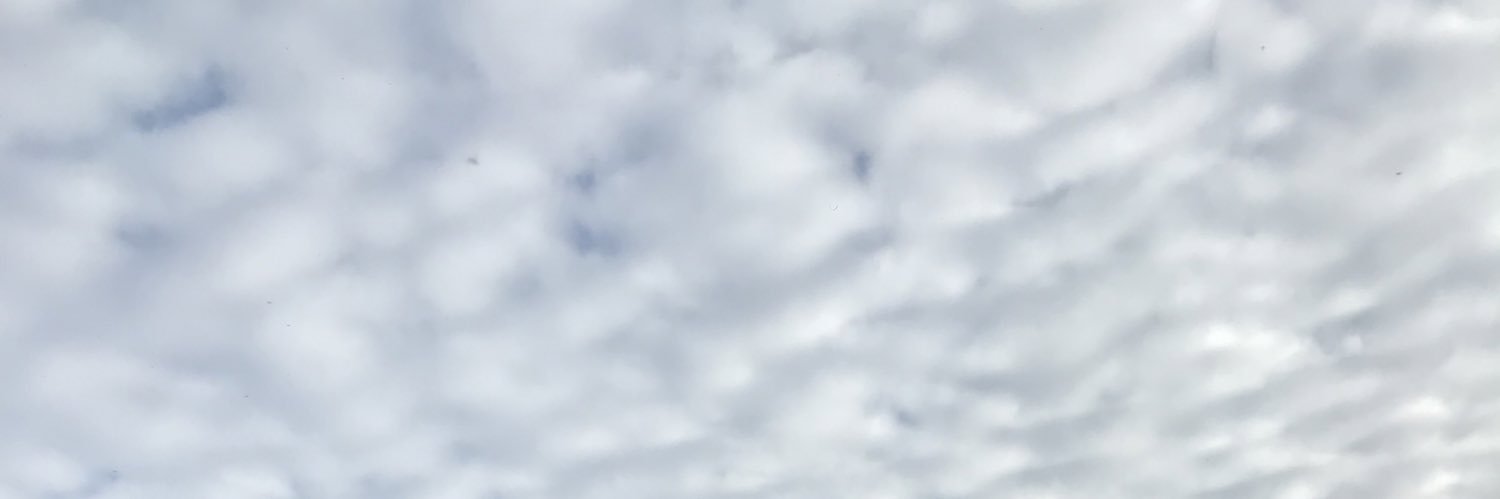 MaleMarinelli's profile banner image