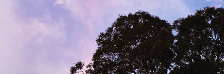 marleyhc's profile banner image