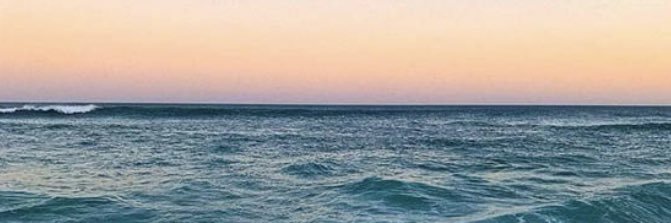 nereamerida06's profile banner image