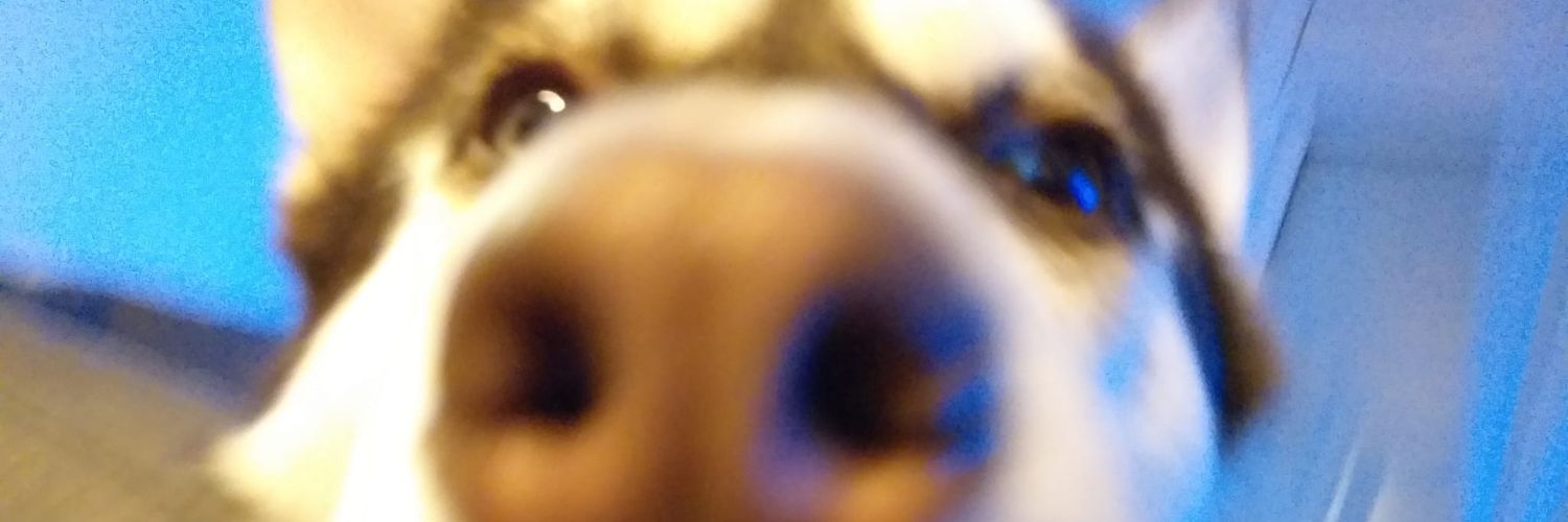 carla? banner