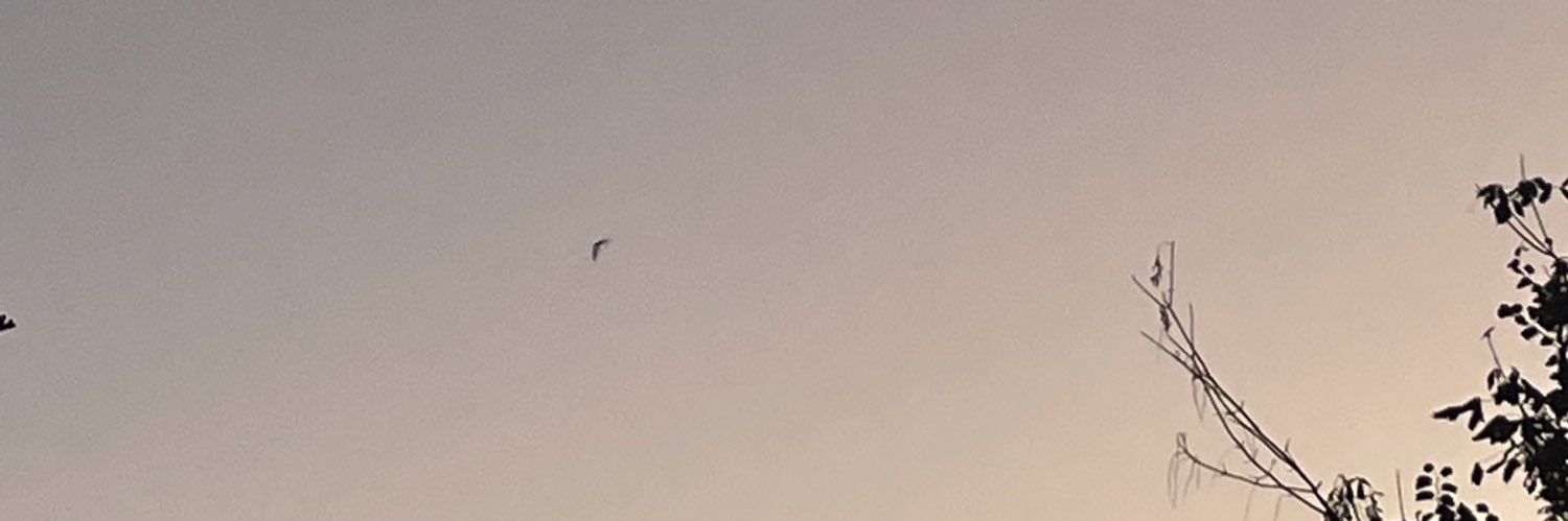 mariaortegarcc's profile banner image