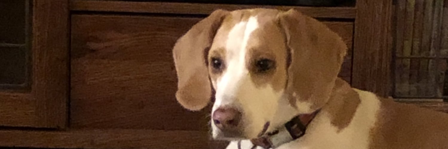 kaitchris's profile banner image
