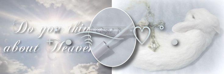 chkowon's profile banner image