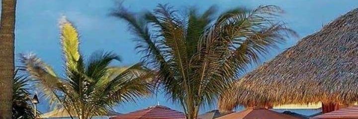 Real Life Contractors LLC. banner