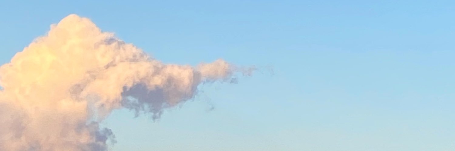 pet__bug's profile banner image
