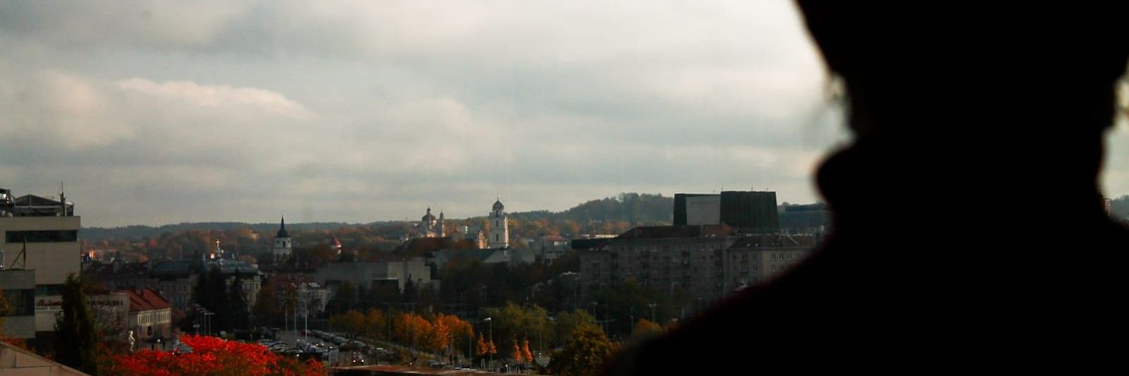Anna Costante banner