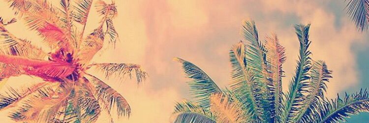 mstundze16's profile banner image