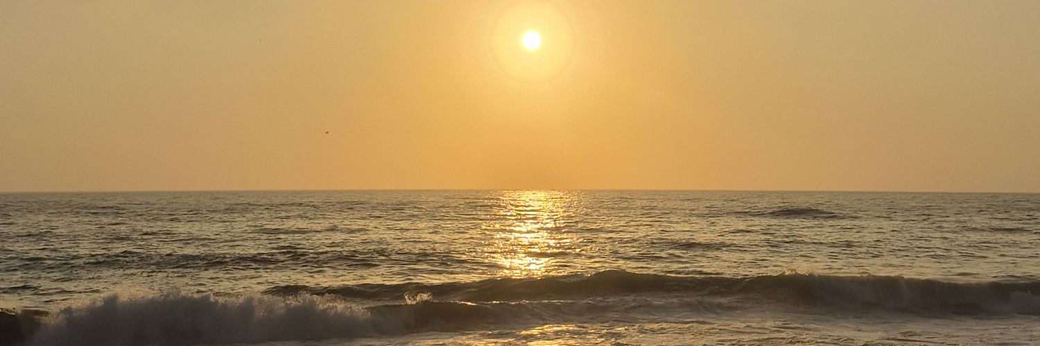 Alfombrita_'s profile banner image