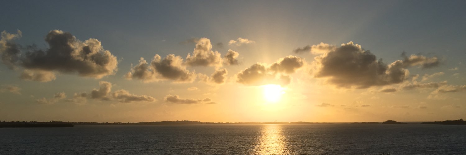 Mark A. Busching banner