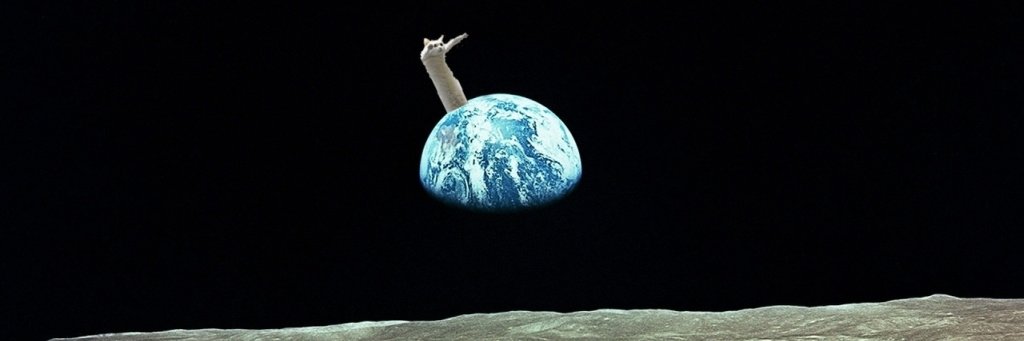 X-pert Fedemiş 🍗🐈💤 banner