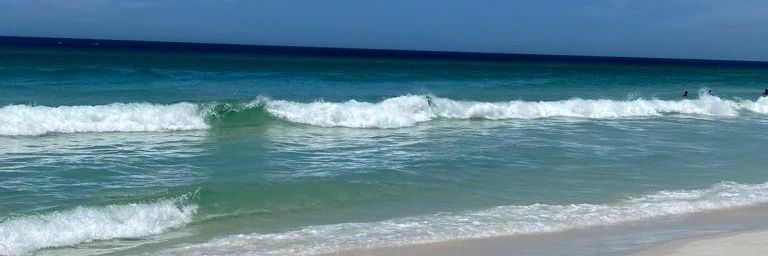 Claudia Moraes banner