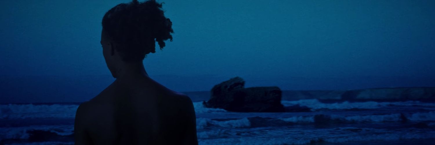 tem muito pedro banner