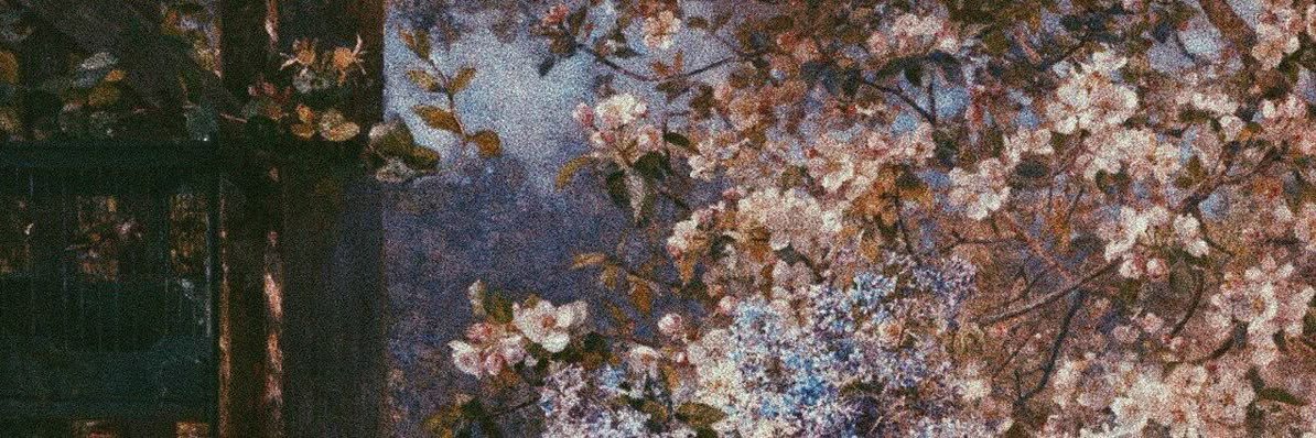 iixxccn's profile banner image
