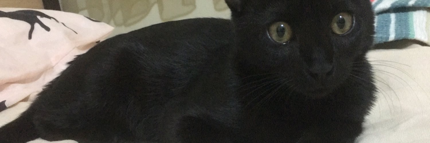 aleynaltinn's profile banner image