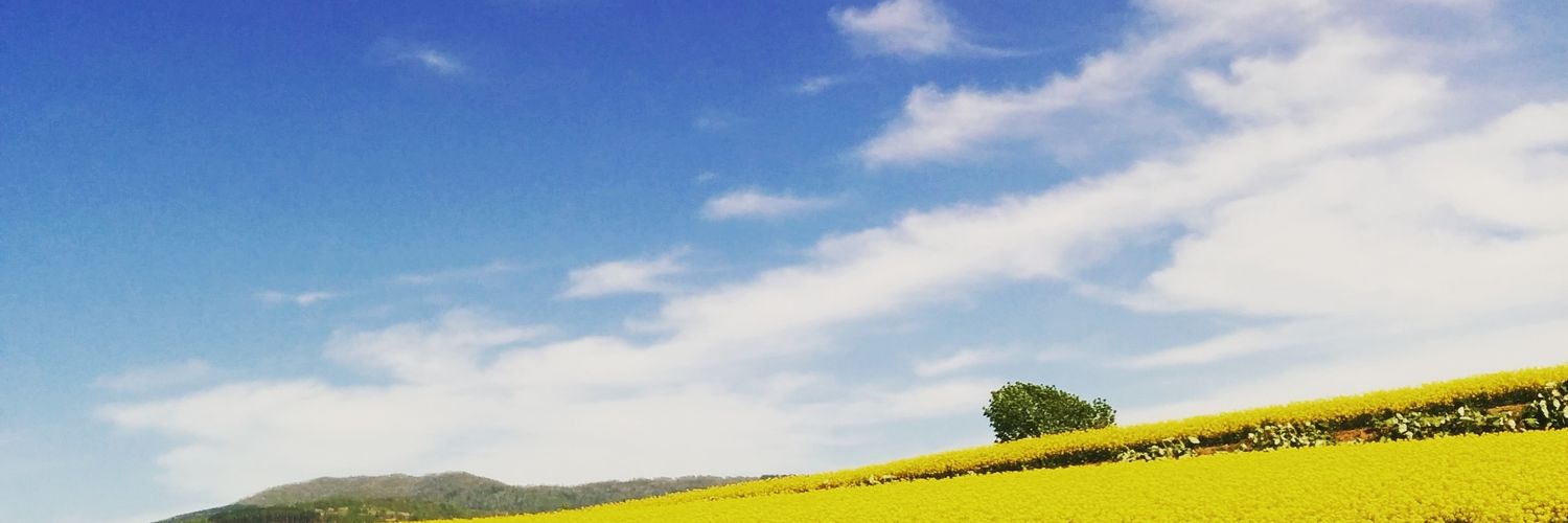 chicapun's profile banner image