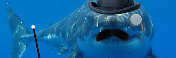 sharkase_ Profile Banner