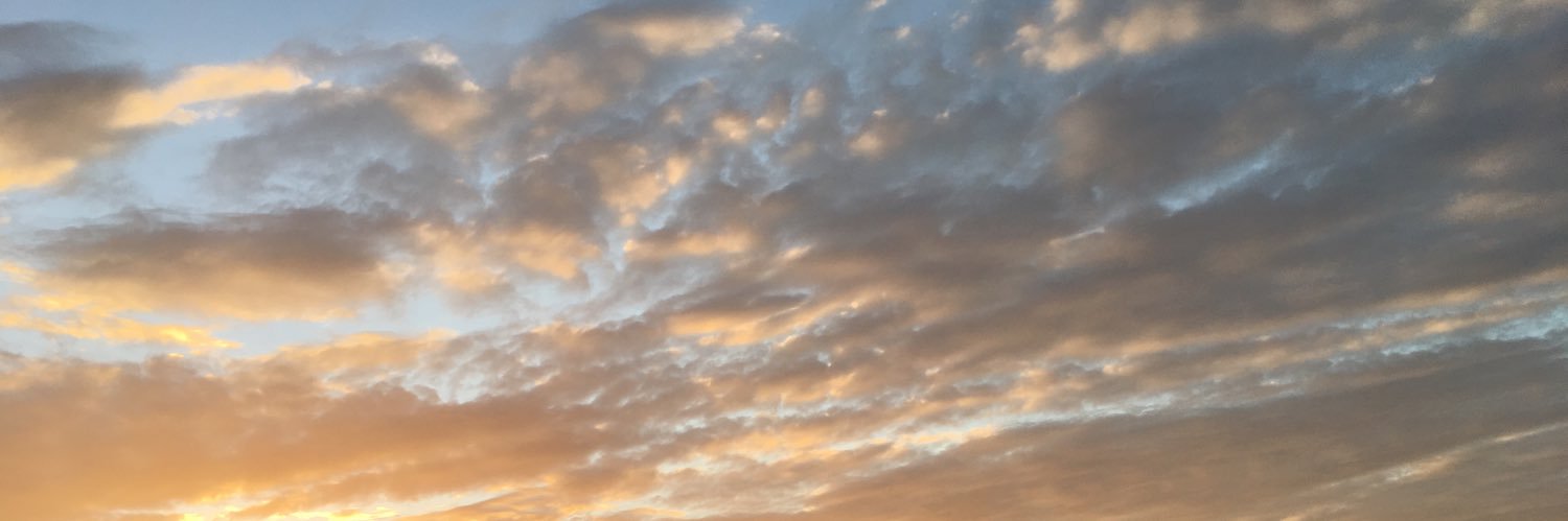 Andrea Guerrero banner