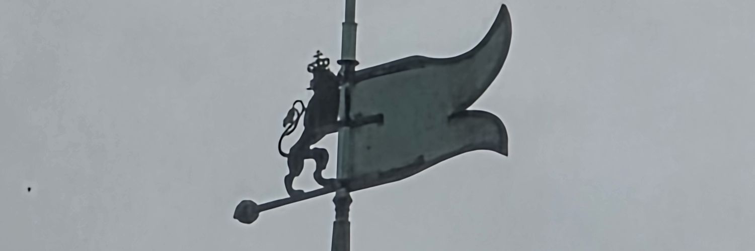 ingmdm's profile banner image