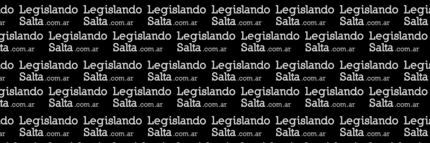 LegislandoSalta's profile banner image