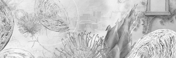 sunshine_juice8 Profile Banner