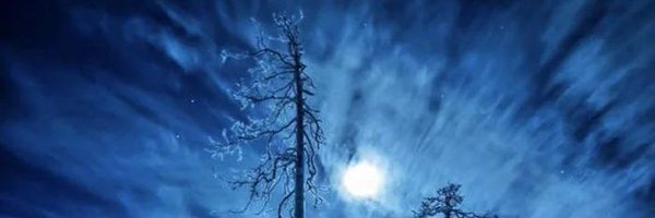 Rook_kyoske Profile Banner