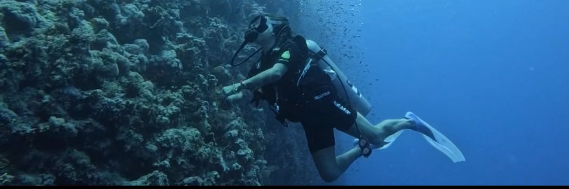 Lai🇵🇸🦂🏄🏽‍♀️🏂 banner