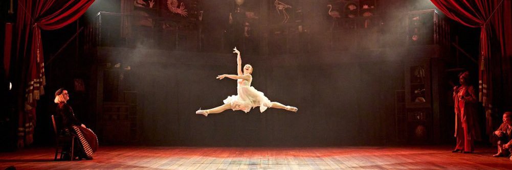 Daisy Sequerra banner