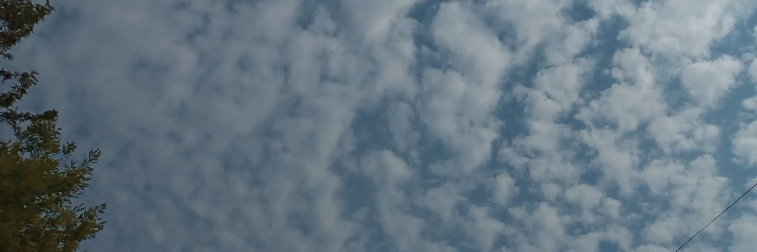 Louis del Albo (Jesi) banner