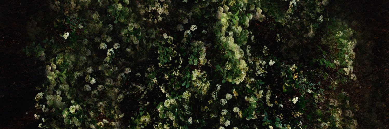 Jameson McGregor banner