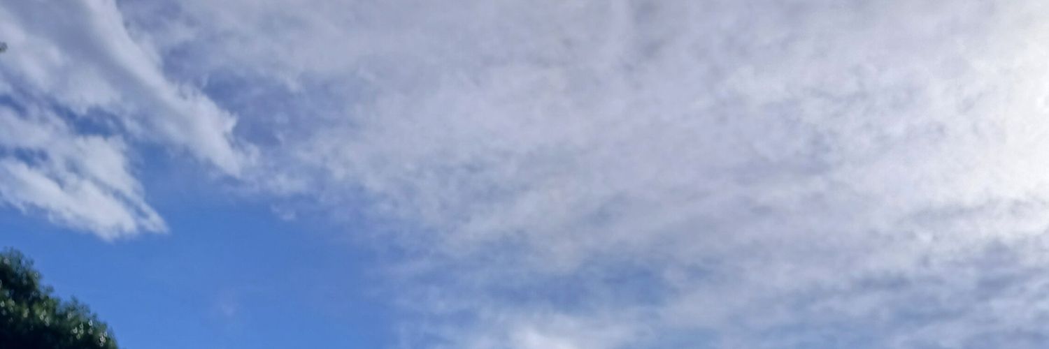 paofer06's profile banner image