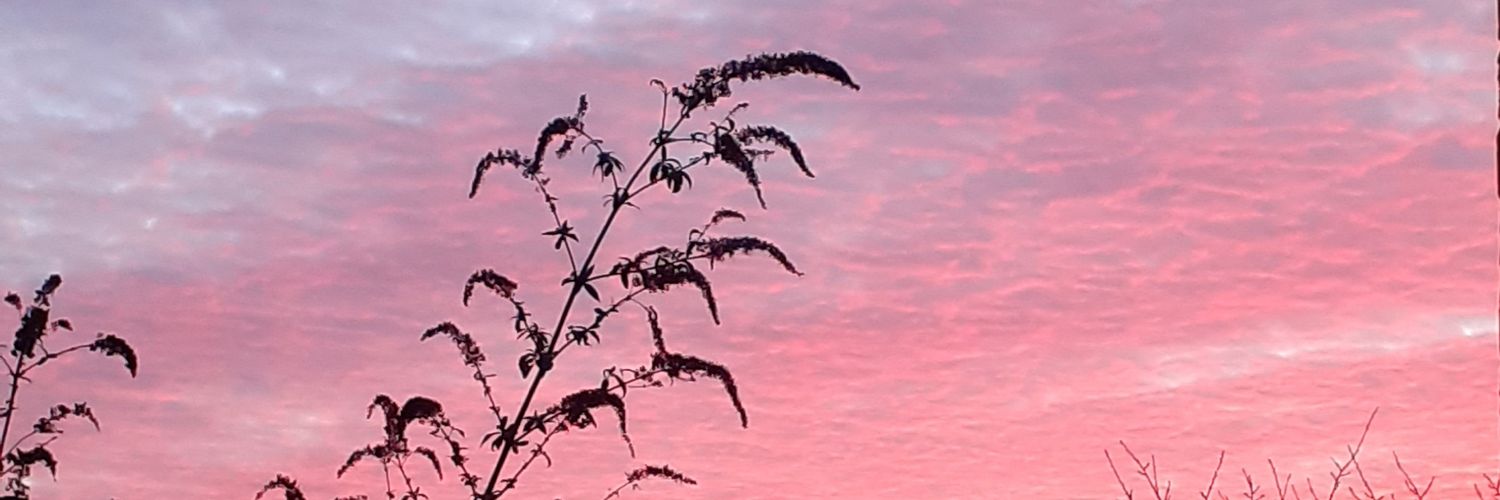 Debbie Thomas banner