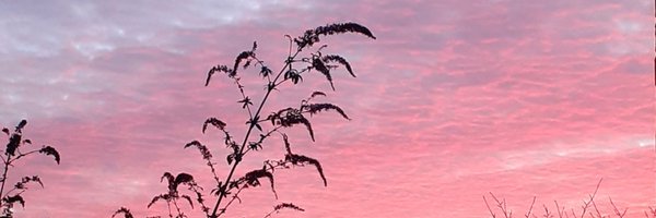 DebThomasCopy Profile Banner