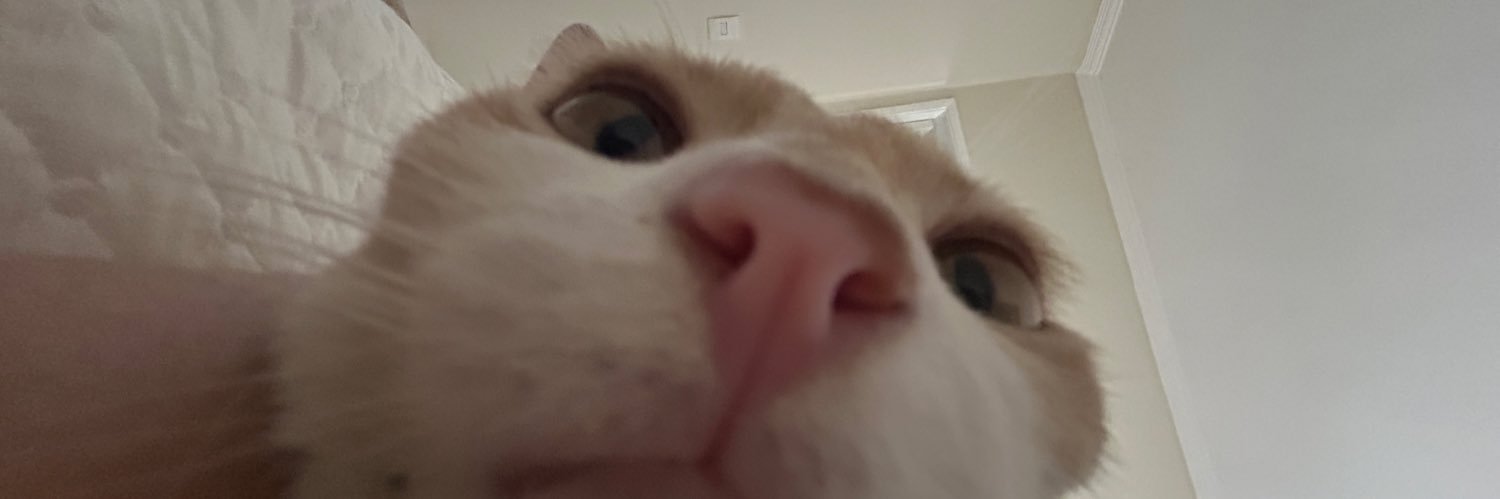 ismotax_'s profile banner image