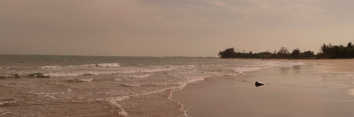 zé banner
