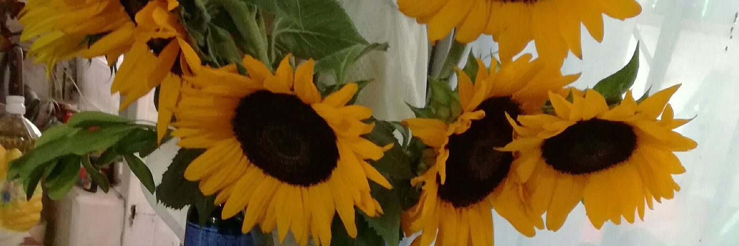 rossy_correa's profile banner image