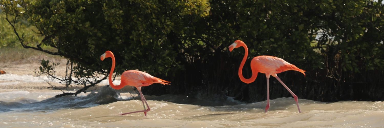 Gabriela Aguilera banner