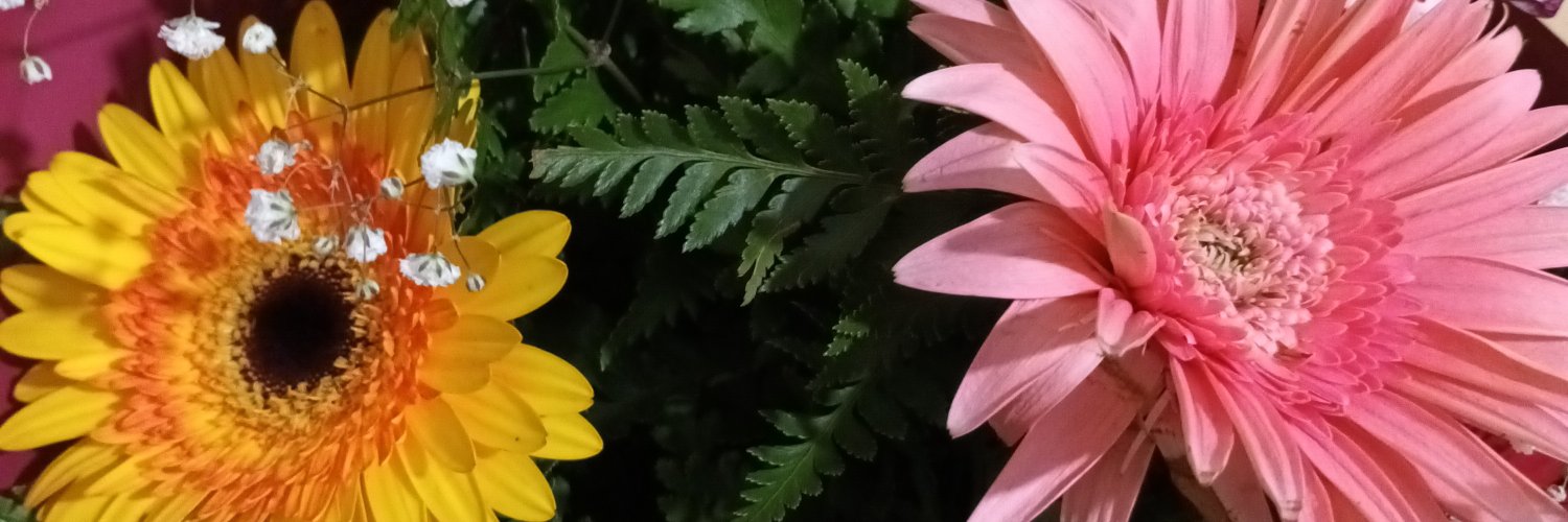LauriPeretti's profile banner image