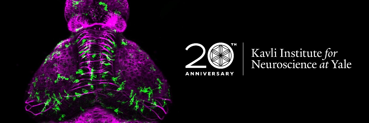 Yale Kavli Institute for Neuroscience's banner
