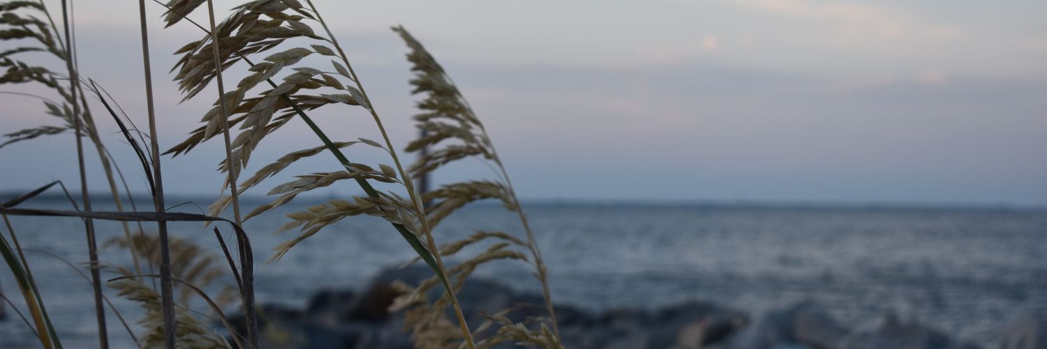 teresaapl's profile banner image