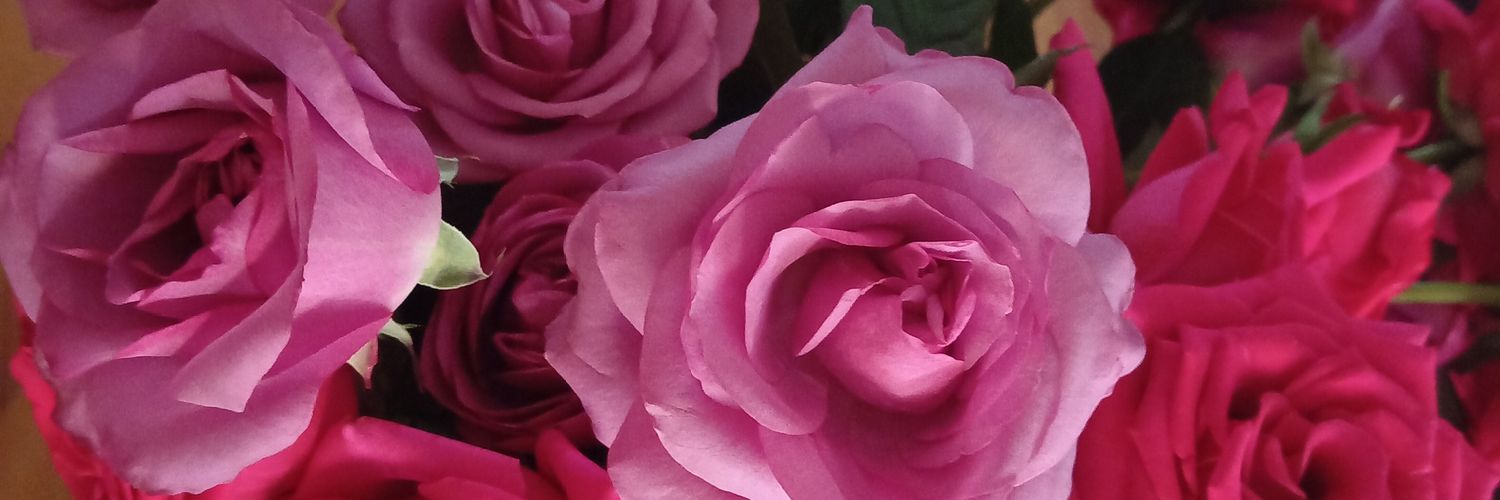 NanHdez's profile banner image