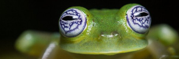 CristBio Profile Banner