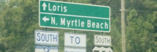 Loris Wisdom Azo banner