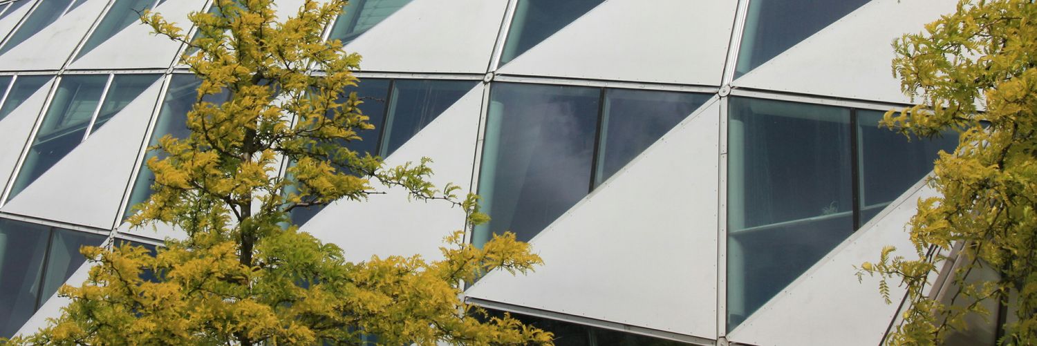 LucasRooom's profile banner image