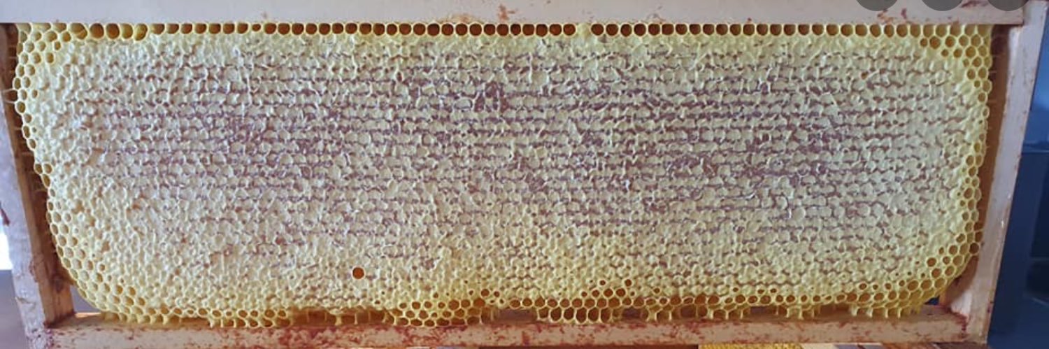 EPBA, European Professional Beekeepers Association banner